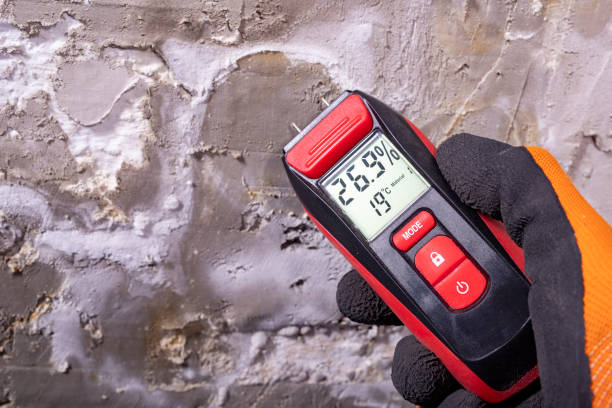  Guntown, MS Mold Removal Pros